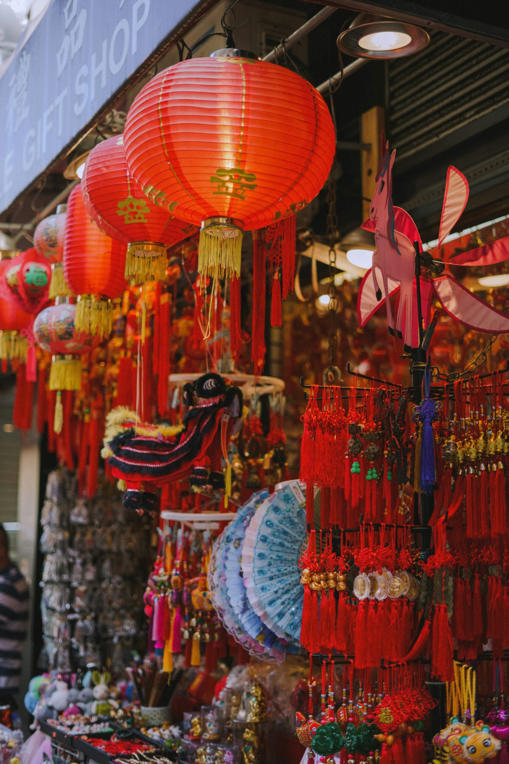 anna-bielan-vixr7S_X_ts-unsplash